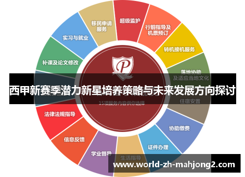 西甲新赛季潜力新星培养策略与未来发展方向探讨
