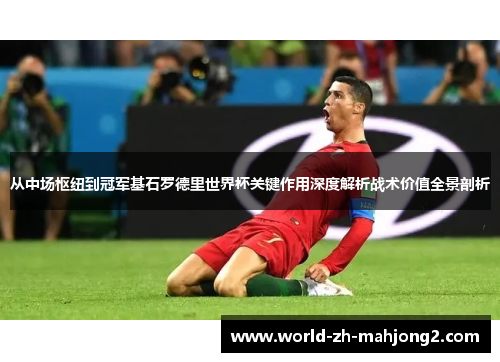 从中场枢纽到冠军基石罗德里世界杯关键作用深度解析战术价值全景剖析