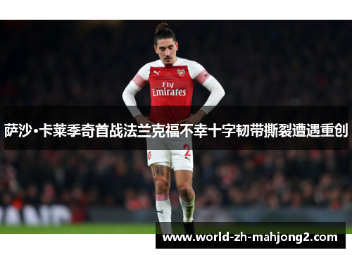 萨沙·卡莱季奇首战法兰克福不幸十字韧带撕裂遭遇重创 萨沙·卡莱季奇首战法兰克福不幸十字韧带撕裂遭遇重创